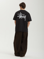 Мужская Футболка Basic Stussy Pig. Dyed