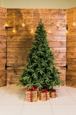 Искусственная ель "Форесто" (Литая+пвх) от 1,2 м до 2,4 м