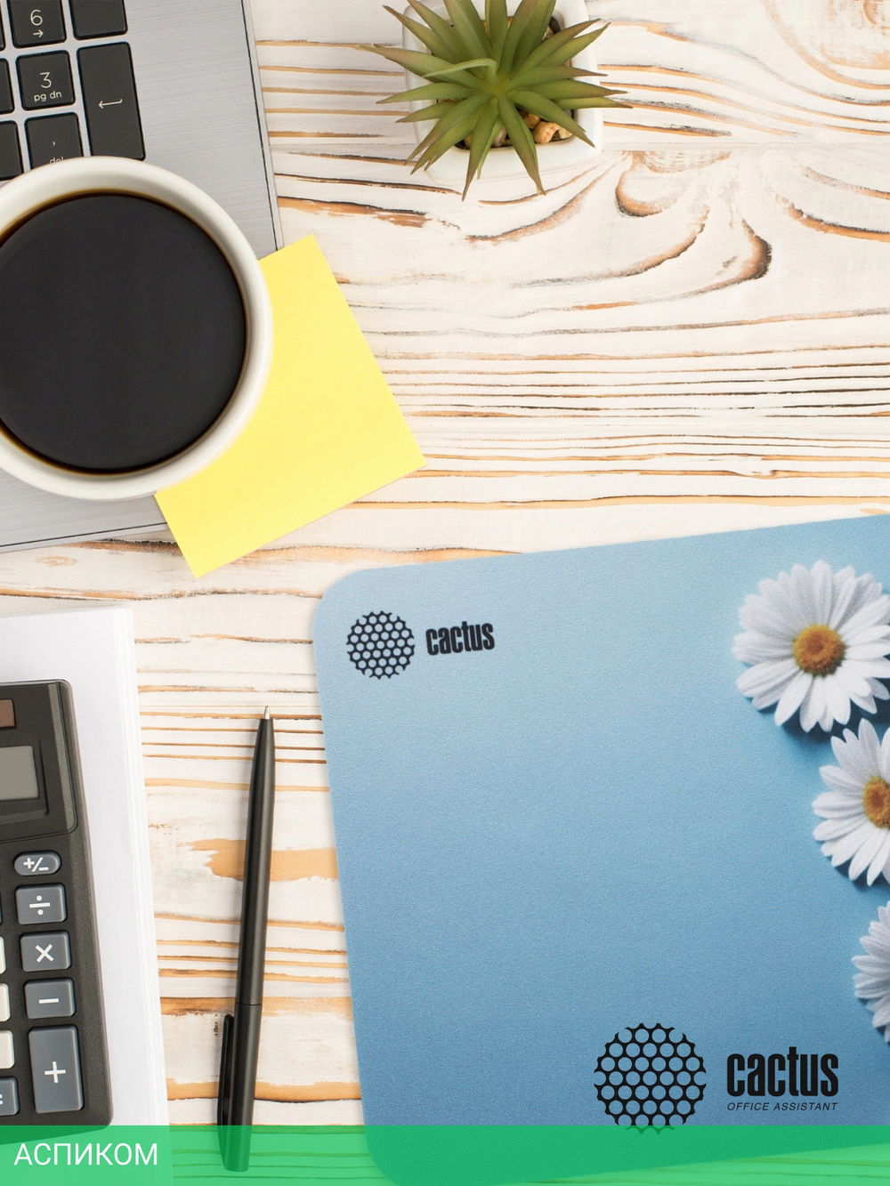 Коврик для мыши Cactus Daisies (CS-MP-D07S)