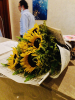 Солнечный свет Шарма