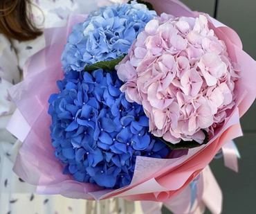 Букеты из гортензий