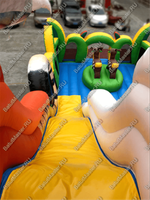 Надувная горка "Большой тигр", 15*7*10 м