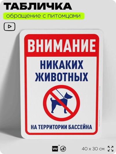 Табличка "Внимание, никаких животных на территории бассейна" на дверь и забор, для двора, дома, подъезда, 40х30 см, Silver Plane x Айдентика Технолоджи
