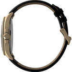 Мужские наручные часы Timex TW2V42200