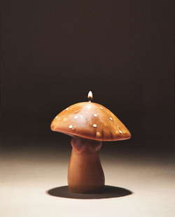 Zara Home - Маленькая ароматическая свеча гриб puntos pumpkin spice