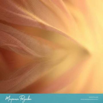 Аффирмации - Любовь