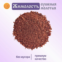 Жимолость молотая.