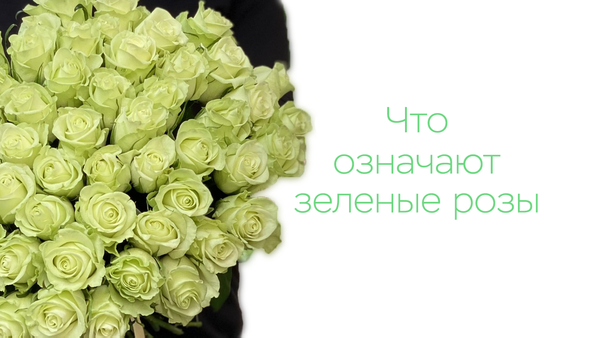 Что означают зеленые розы?