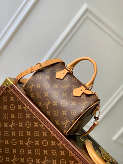 Louis Vuitton Speedy 20