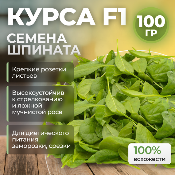 КУРСА F1 семена шпината (Nunhems | Alexagro) – фото 13