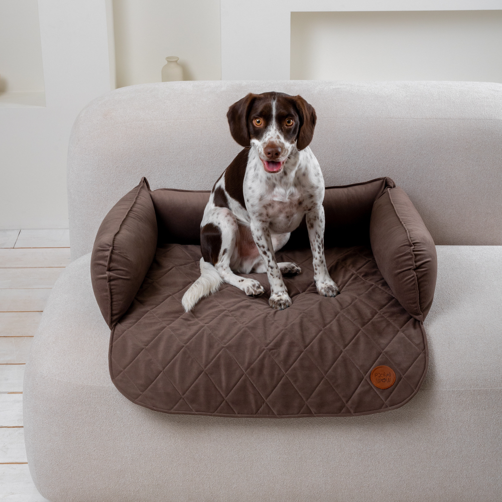 Диванный лежак из микровелюра, мокко 70х50 Rachel WOW