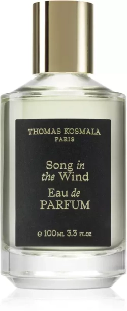 Thomas Kosmala Song In The Wind