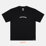  Футболка мужская Dickies Outdoor артикул:DK0A4Z8PBLK1 - купить в магазине Дайс