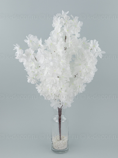 Сакура Весенняя БИГ