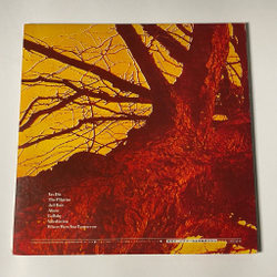 Винтажная виниловая пластинка LP Wishbone Ash Pilgrimage (Japan 1972) (No Obi) Jail Bait