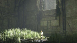 The Last Guardian (Последний хранитель) (диск для PS4, интерфейс и субтитры на русском языке)