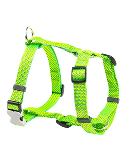 Шлейка для собак средних пород ярко-зеленый, салатовый, зеленый, зеленый неон