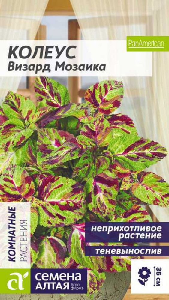 Колеус "G. Визард Мозаика" 5шт., Россия. Колеус "G. Визард Мозаика" 5шт., Россия.