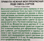 Примула Моя прекрасная леди смесь 7 шт СМЦ-368