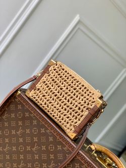 Louis Vuitton Side Trunk MM