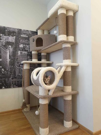 Домик для кота И-188 (мейн-кун)