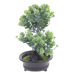 Цветочная композиция Бонсай, в ассортименте