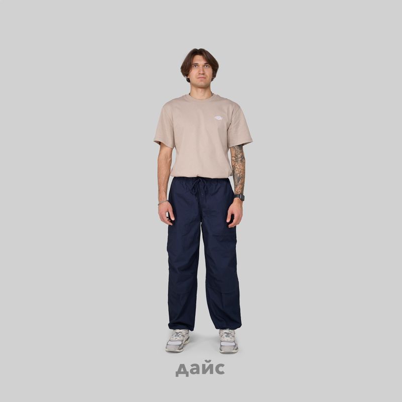 Брюки мужские Dickies Fishersville Pant артикул:DK0A4YSDDNX1 - купить в магазине Дайс
