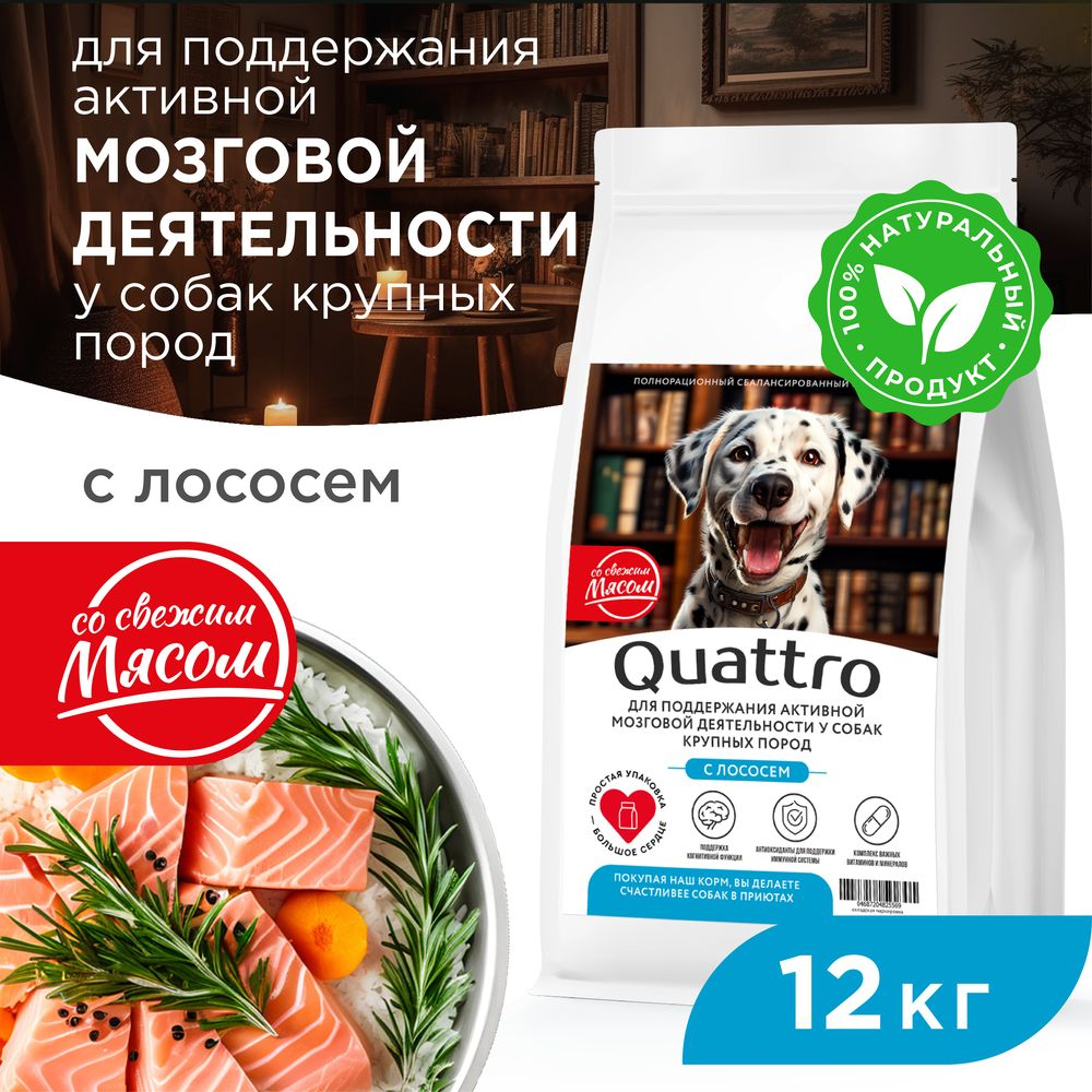 Корм сухой для взрослых собак крупных пород, премиум полнорационный комплекс, для поддержания активной мозговой деятельности, с лососем, 12 кг, QUATTRO