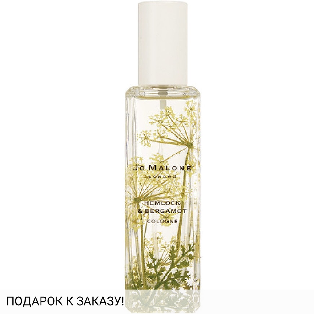 Jo Malone Hemlock & Bergamot