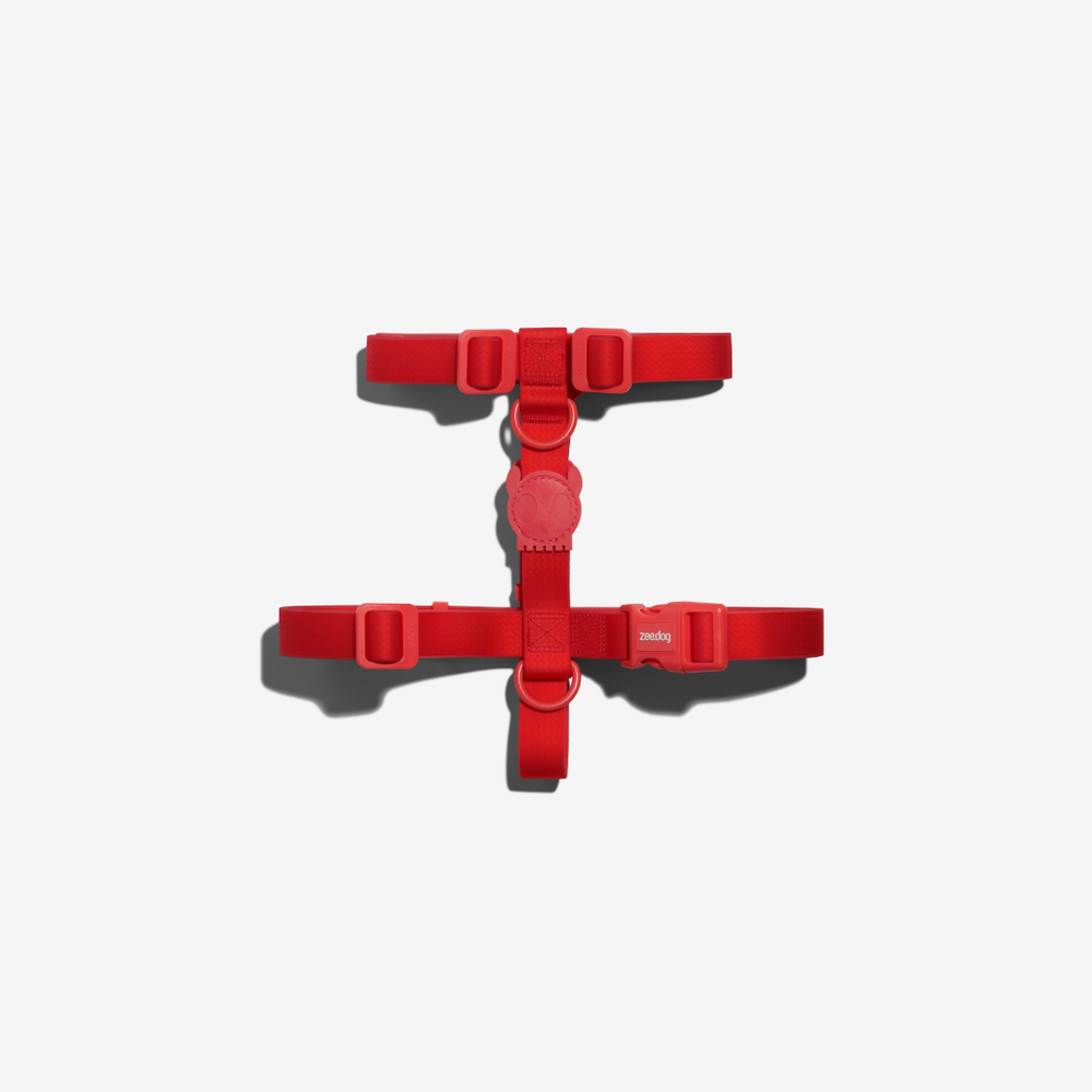 Шлейка NEOPRO CORAL Zee.Dog, размер L