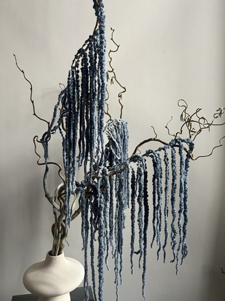 Амарант стабилизированный серый