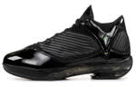 Кроссовки Jordan Air Jordan 2009 Aj24 S23 Og