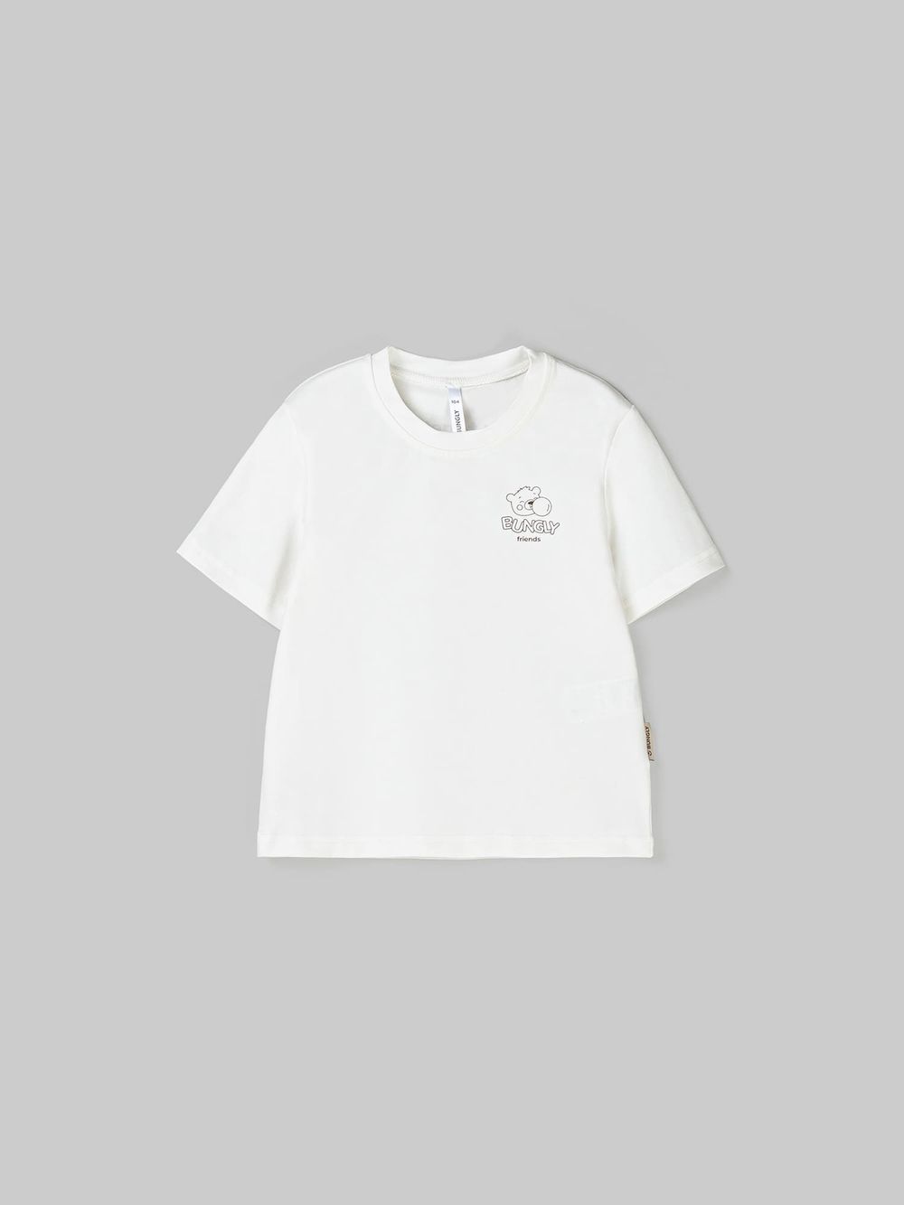 предметное