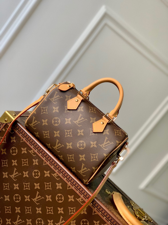 Louis Vuitton Speedy 20
