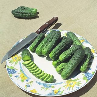 Огурец Альянс F1 1000 (семян)