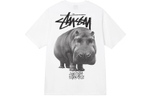 Футболки Stussy Livin Large Tee T, 1904865