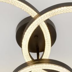 Светильник потолочный светодиодный ЭРА Модерн Bloom CLL-1-110W 3K-6K RC BK с ДУ черный | Светильники SPB-6 с ДУ