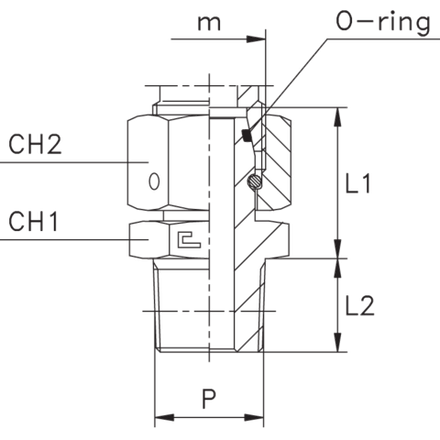 Штуцер FNС DS25 NPT1" CAST