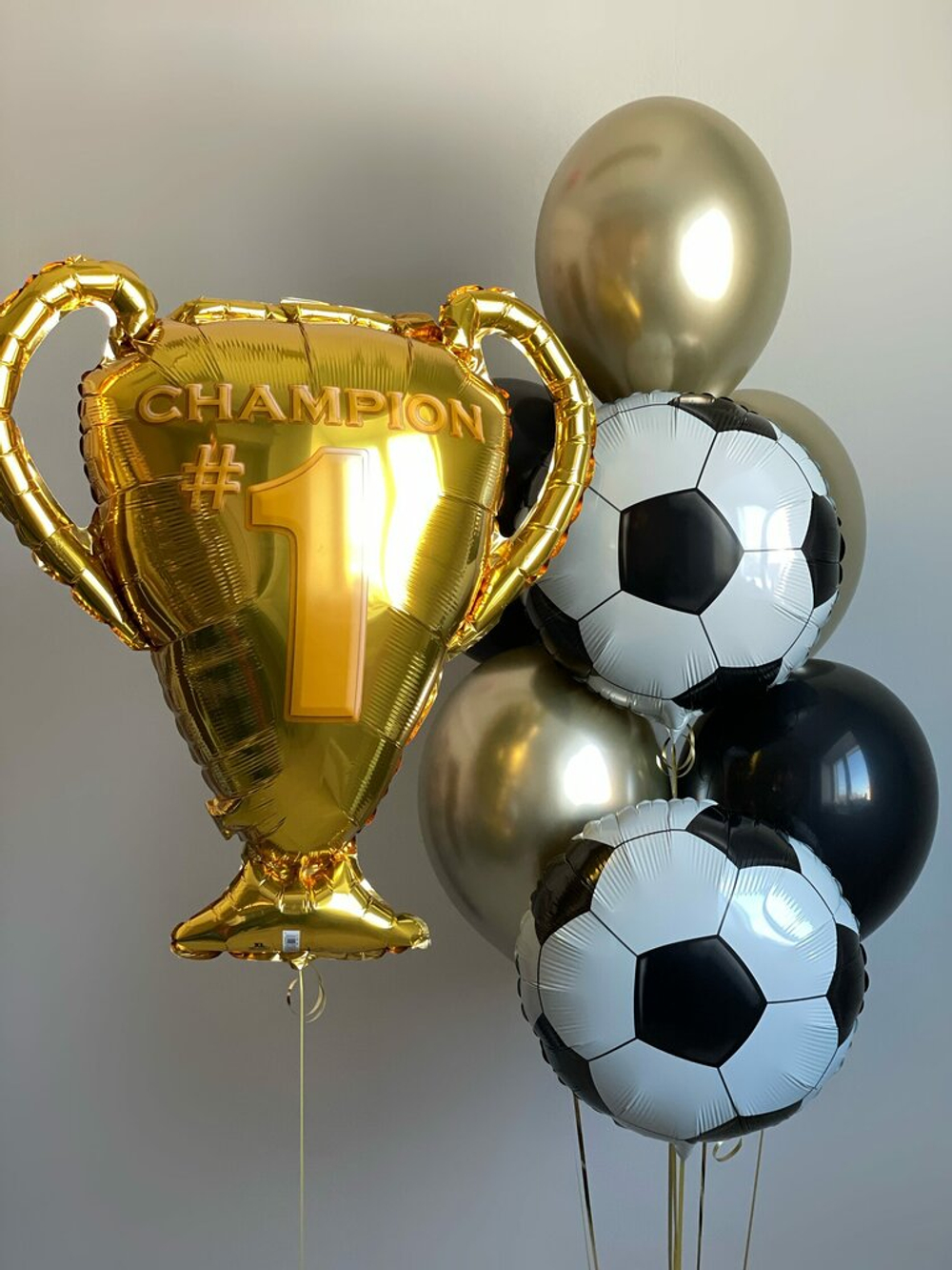 Сет шаров «Кубок чемпиона»