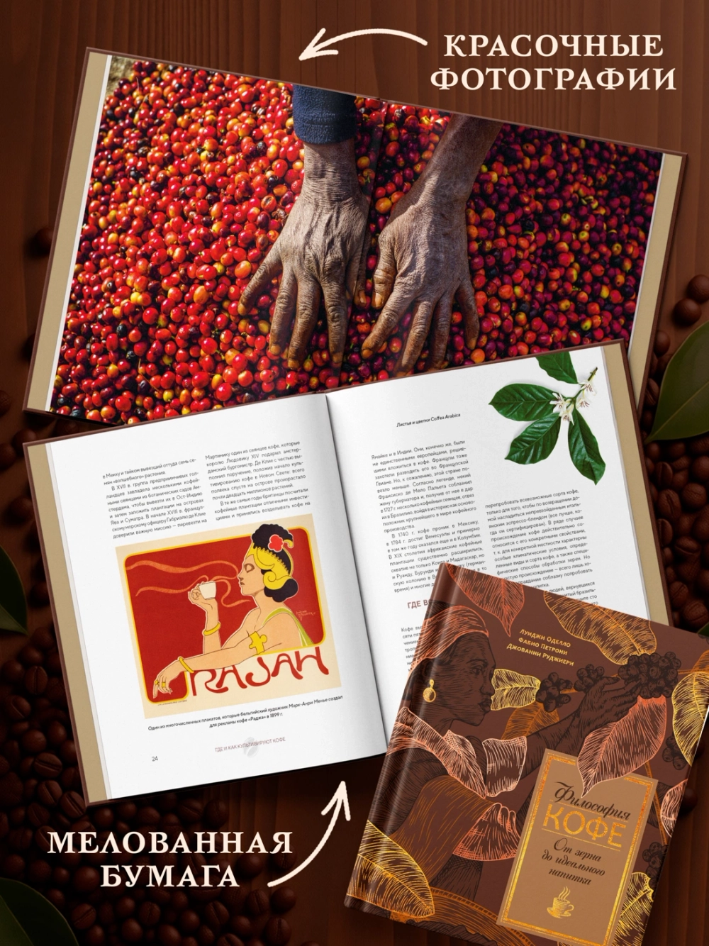 Философия кофе. От зерна до идеального напитка