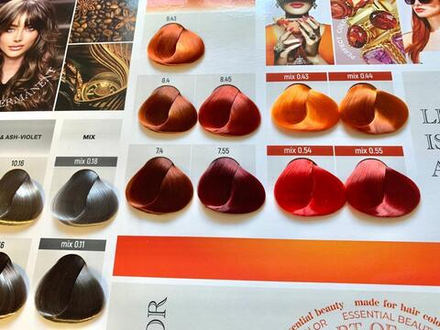 Палитра оттенков Atelier Color Integrative