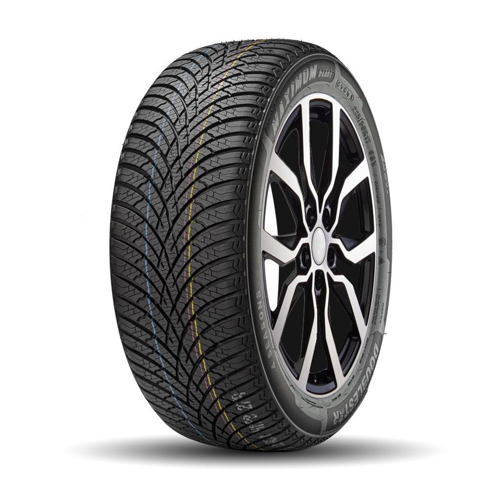 ДаблСтар  245/45/18  W 100 DLA01