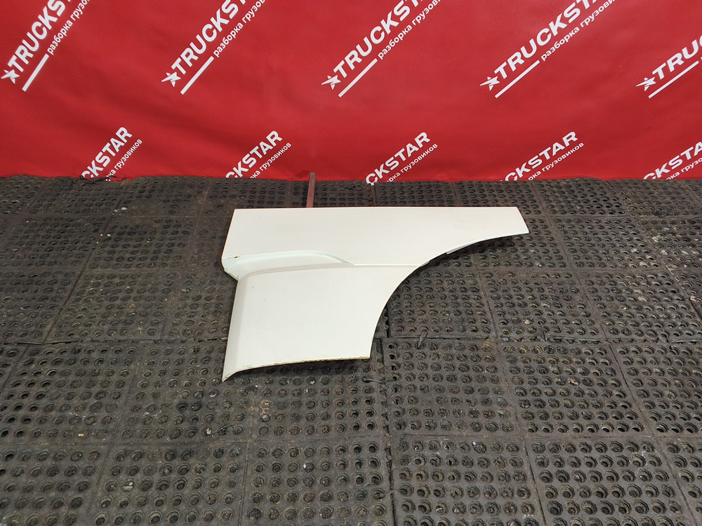 Продолжение двери левой 2020г