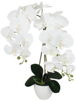Искусственная Орхидея белая 2 ветки латекс 55см в кашпо
