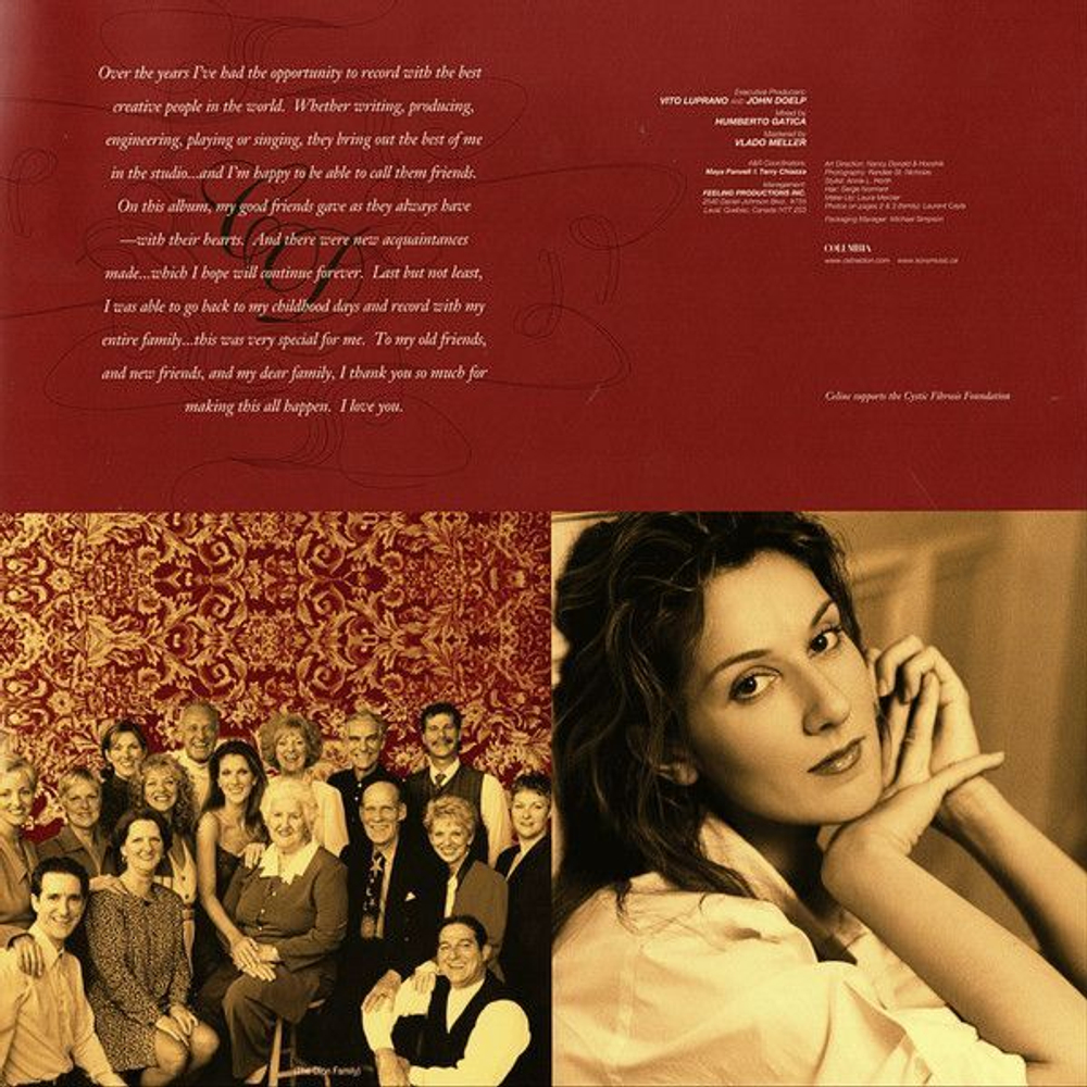 Виниловая пластинка DION CELINE These Are Special Times (Opaque Gold) (2Винил)