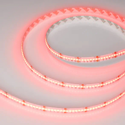 Светодиодная лента CSP-X840-12mm 24V RGBW-Day (17.2 W/m, IP20, 5m)  (Arlight, 5 лет) 046936