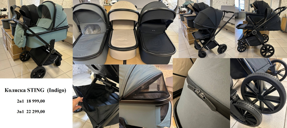 Коляска 3 в 1 Indigo STING