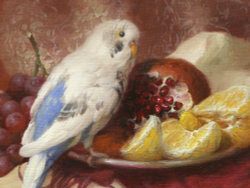 Волнушка на красном