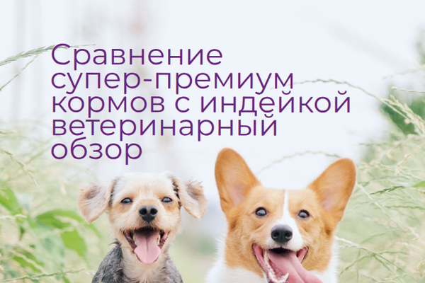 Сравнение супер‑премиум кормов с индейкой для средних и мелких пород - ветеринарный обзор и рекомендации