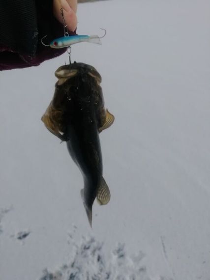 Балансир Lucky John CLASSIC 3 с тр. 30мм/15H блистер